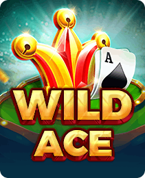 Wild Ace slot game on S9 app